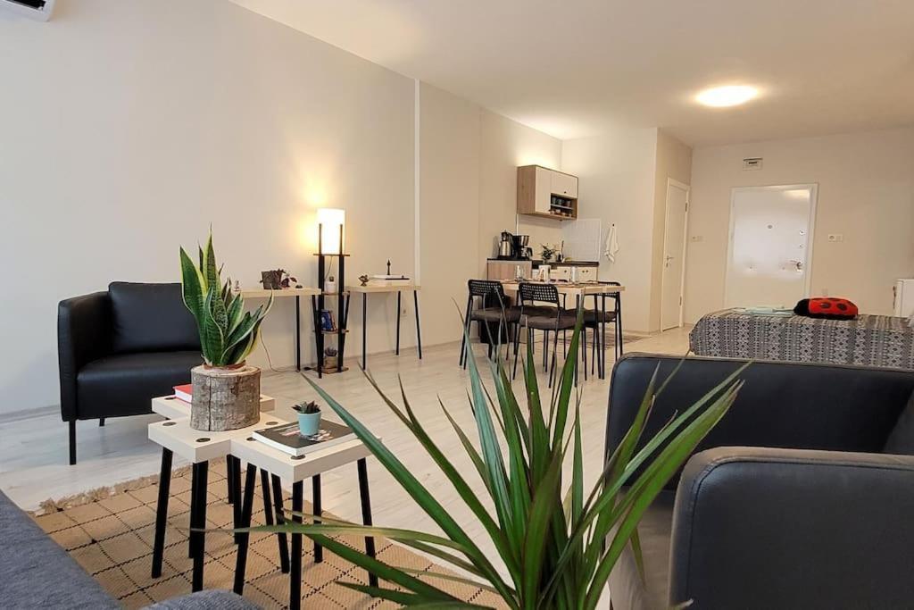 New Cosy Studio In The Heart Of Kadikoy Apartment Istanbul Exterior photo